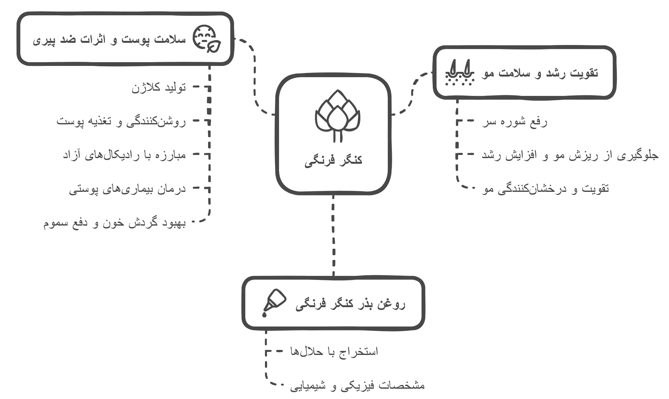 کنگر فرنگی در صنعت آرایشی و بهداشتی