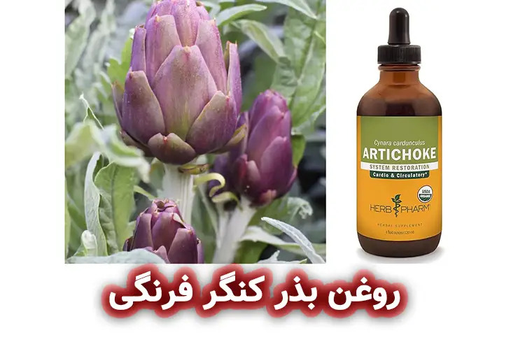 روغن بذر کنگر فرنگی