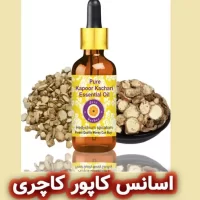 اسانس کاپور کاچری