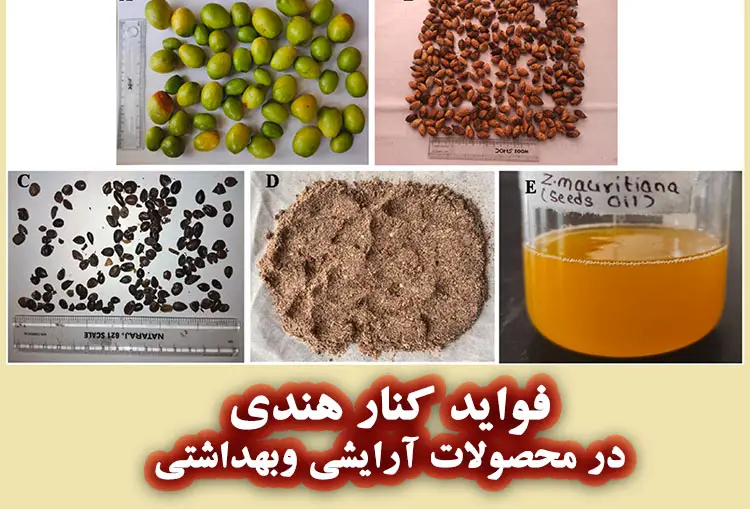 فواید روغن هسته کنار هندی در محصولات آرایشی و بهداشتی