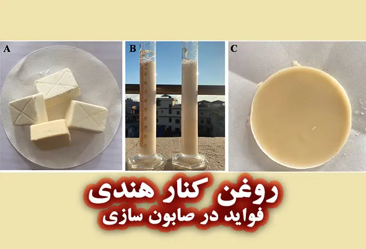 کاربرد روغن هسته کنار هندی در صابون سازی