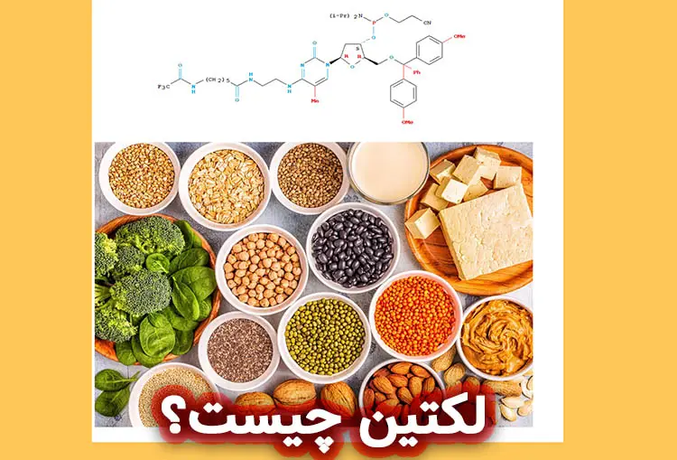 لکتین چیست؟ نقش لکتین ها در صابون‌ سازی گیاهی