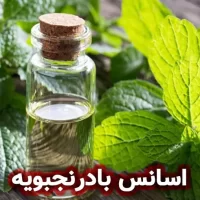 اسانس بادرنجبویه