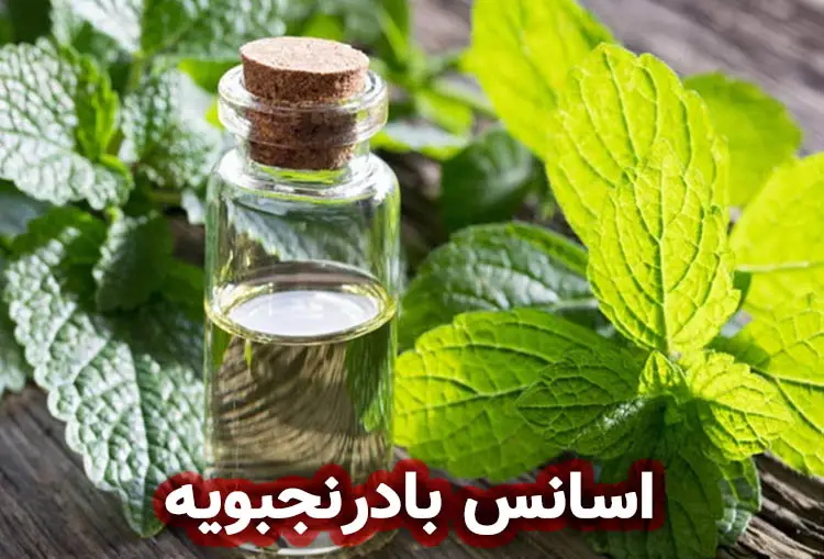 اسانس بادرنجبویه