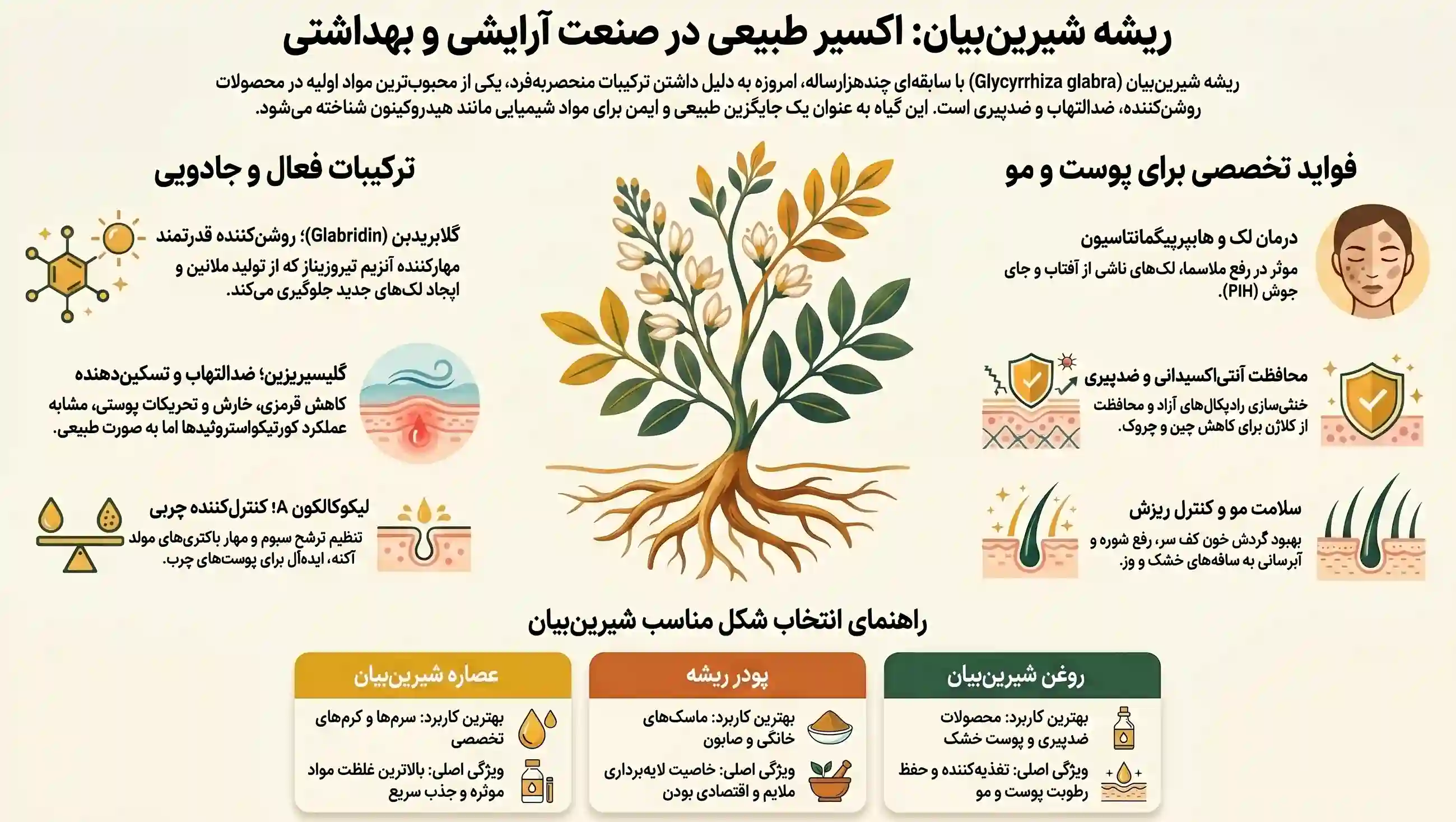 اینفوگرافیک کاربرد ریشه شیرین بیان در محصولات آرایشی و بهداشتی اینفوگرافیک کاربرد ریشه شیرین بیان در محصولات آرایشی و بهداشتی
