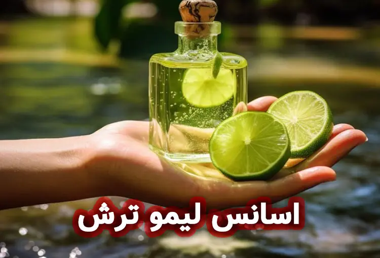 اسانس لیمو ترش