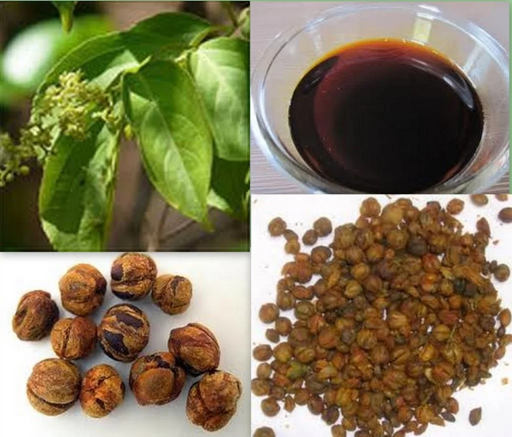 روغن ملکنگنی