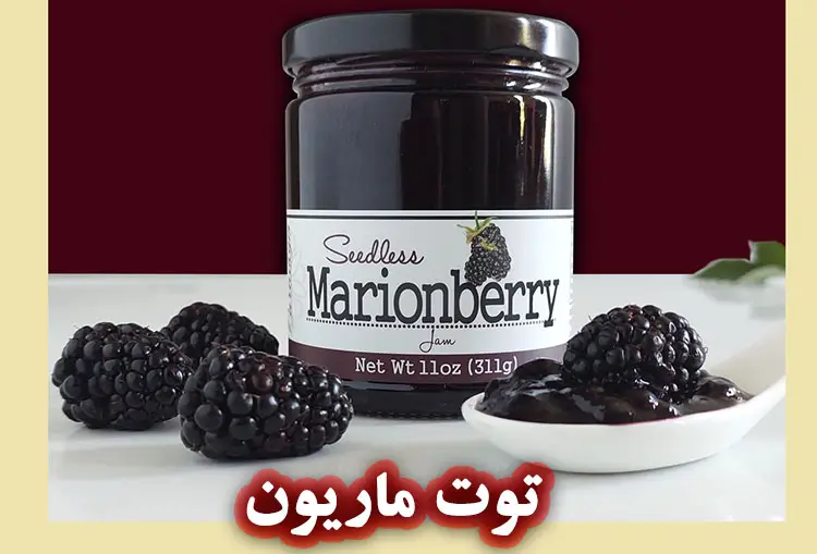 خواص توت ماریون برای پوست و مو
