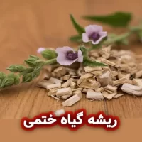 ریشه گیاه ختمی