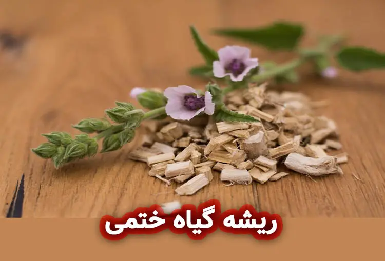 ریشه گیاه ختمی