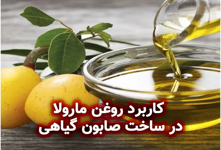 روغن مارولا : کاربرد روغن مارولا در ساخت صابون گیاهی