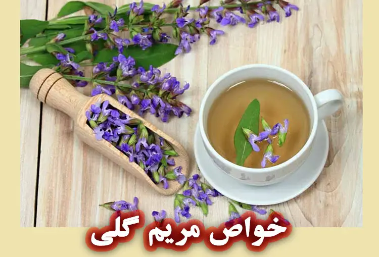 خواص مریم گلی برای پوست