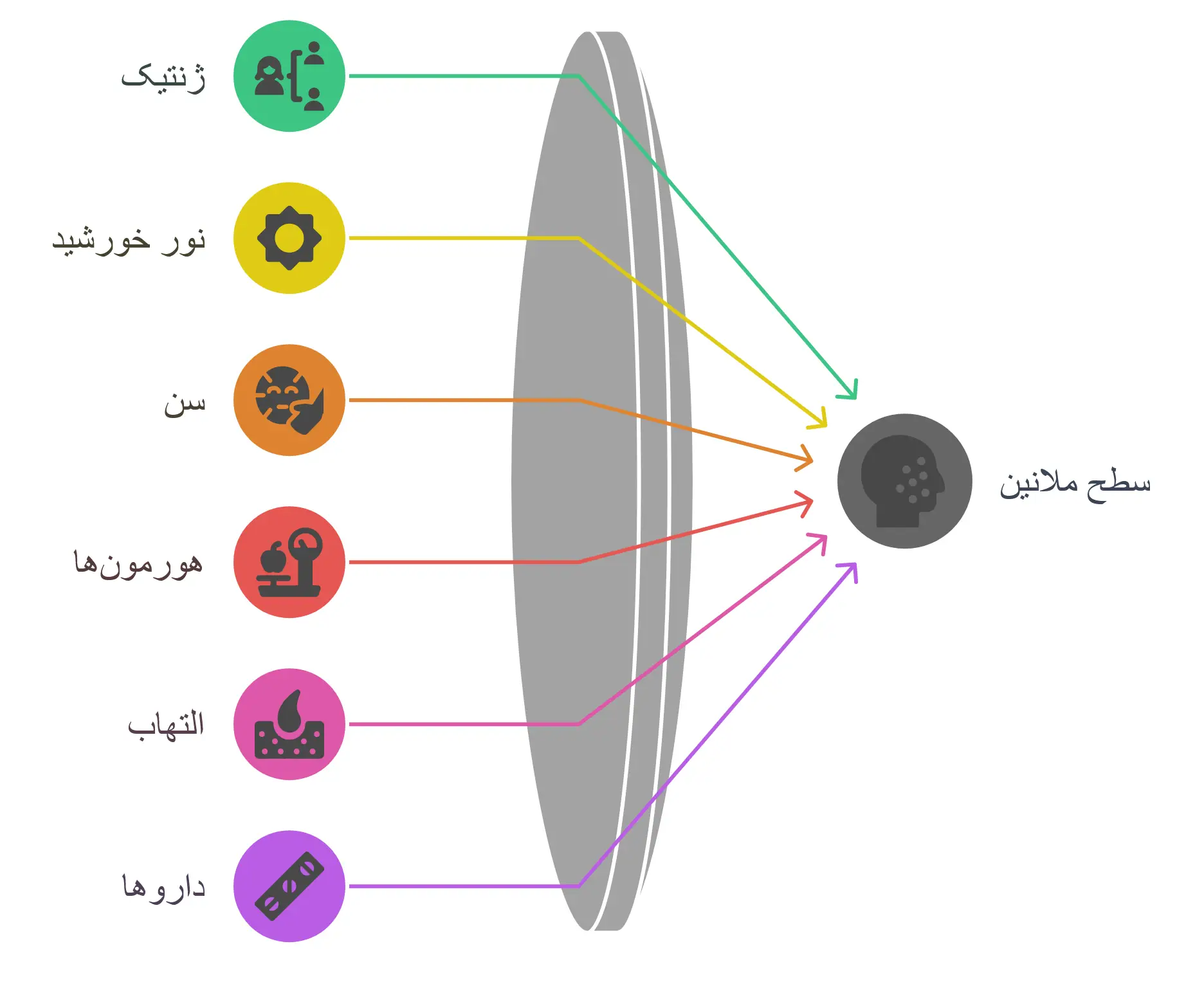 عوامل مؤثر بر سطح ملانین در بدن