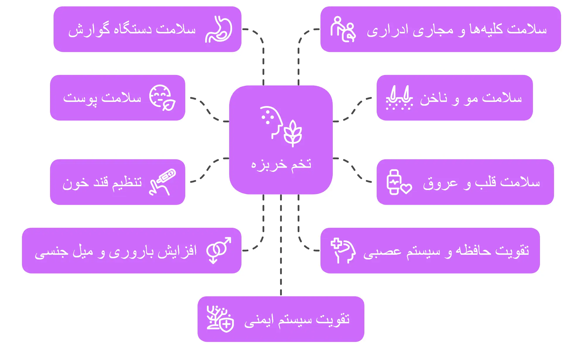 خواص و فواید تخم خربزه