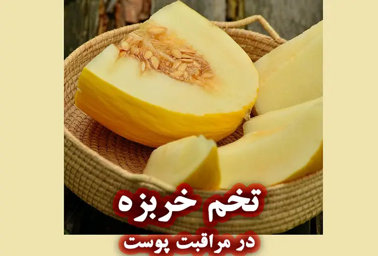 تخم خربزه در مراقبت پوست