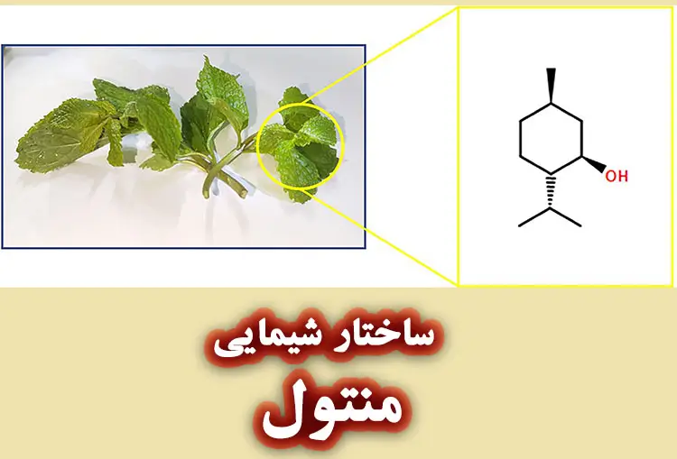 ماهیت و منشأ منتول