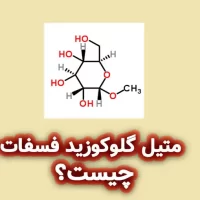 متیل گلوکوزید فسفات چیست؟