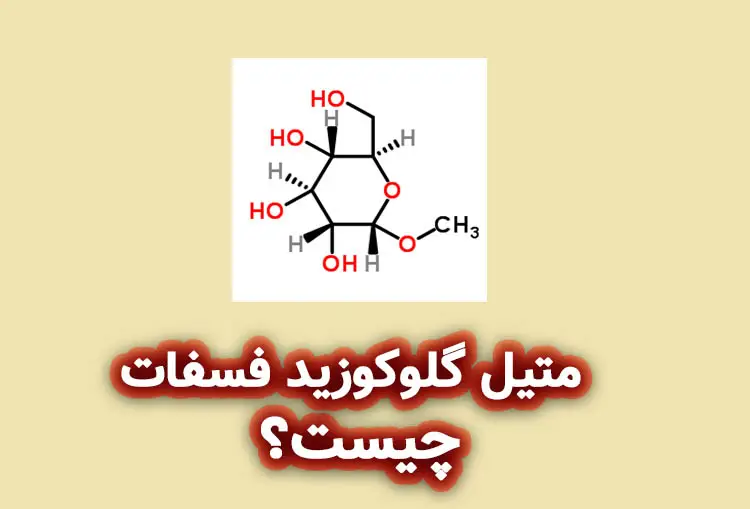 متیل گلوکوزید فسفات چیست؟