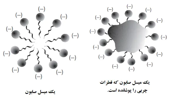 مایسل