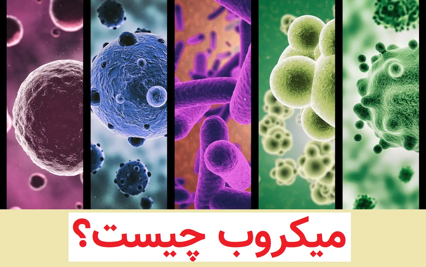 میکروب چیست؟