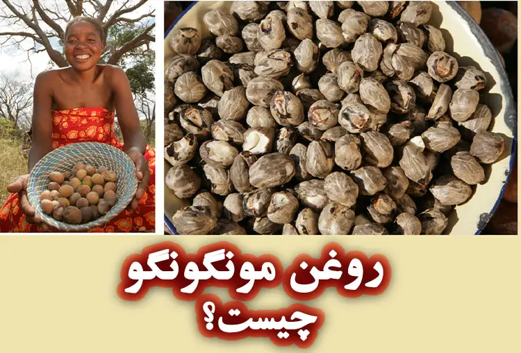 روغن مونگونگو چیست؟
