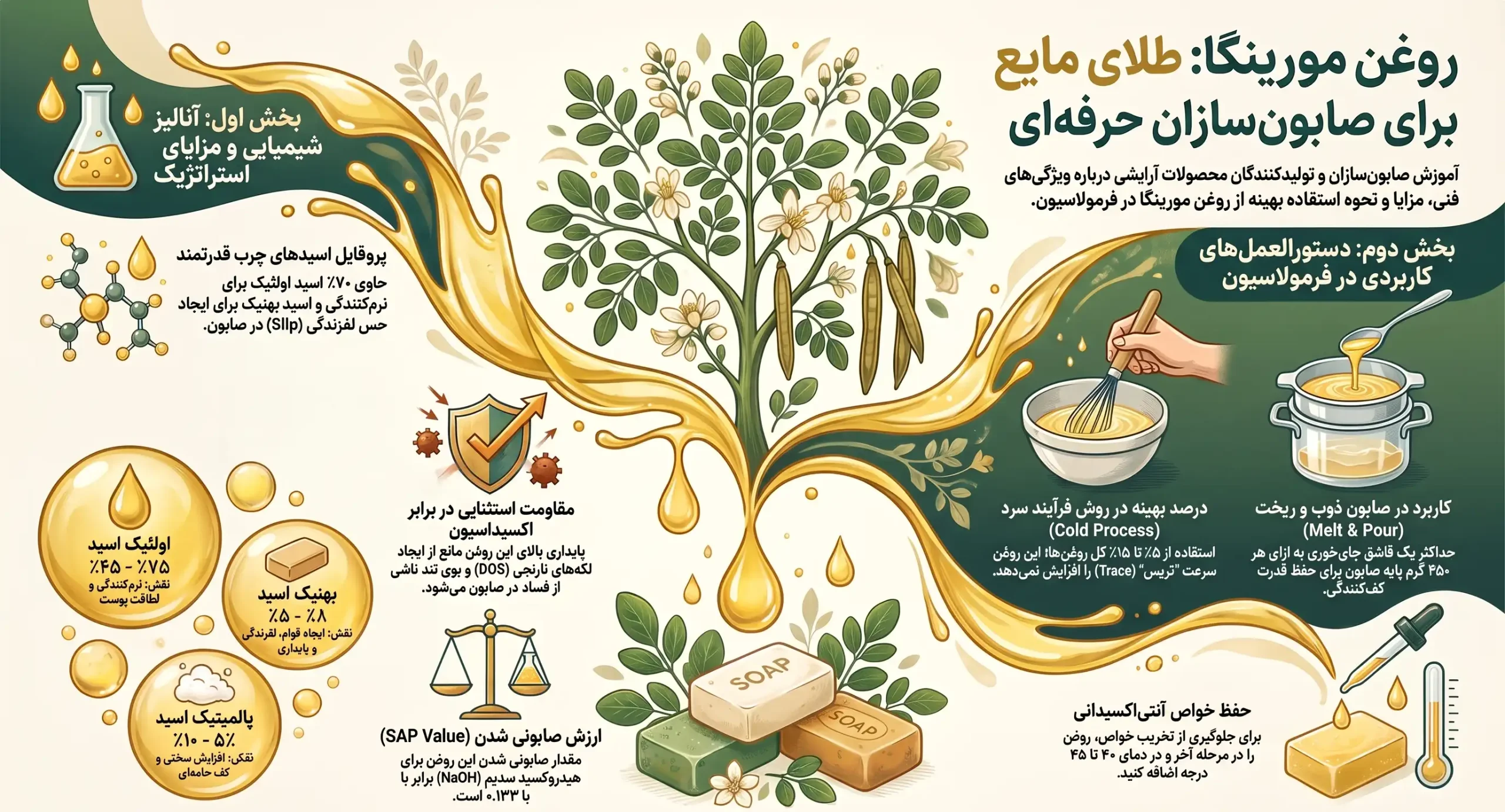خواص روغن مورینگا در صابون سازی خواص روغن مورینگا در صابون سازی
