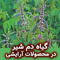 گیاه دم شیر: فواید برای پوست