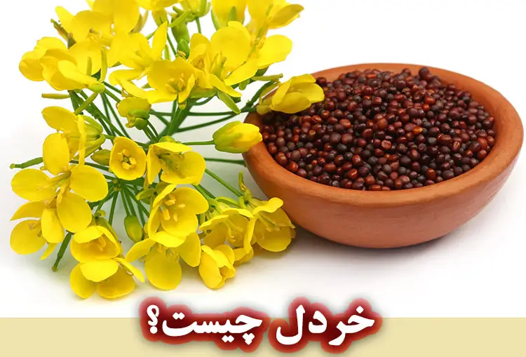 روش‌ های استخراج روغن خردل