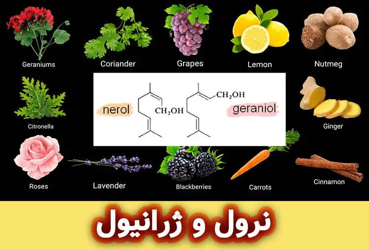 نرول و ژرانیول : ترکیبات معطر در محصولات آرایشی و بهداشتی