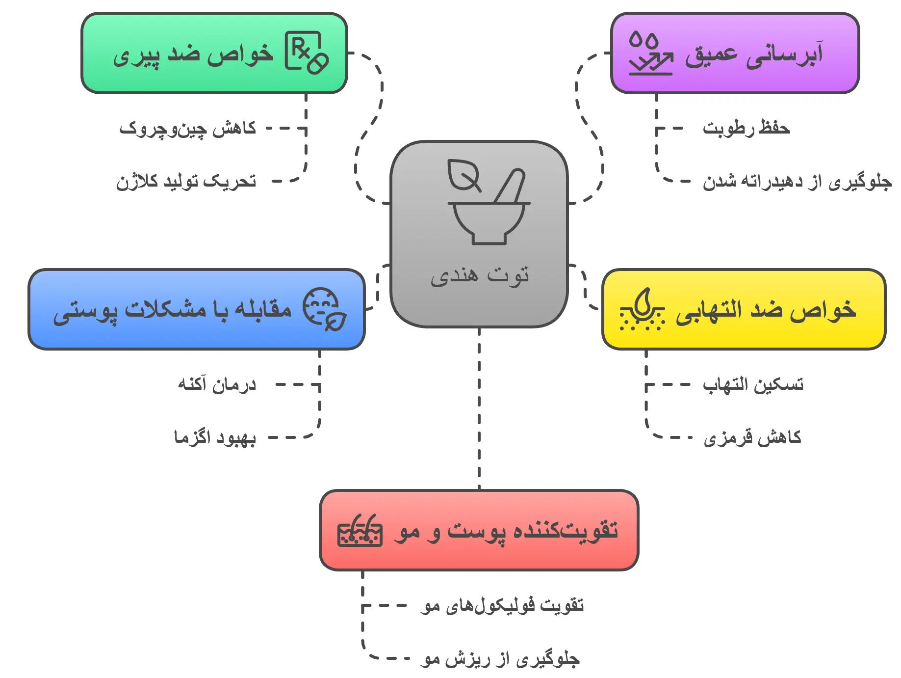 خواص بی‌نظیر توت هندی برای سلامت پوست و مو