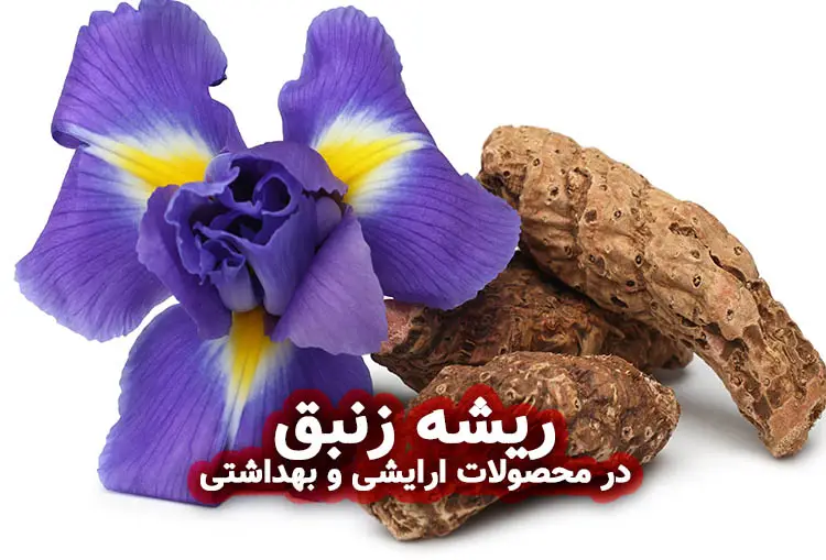 ریشه زنبق