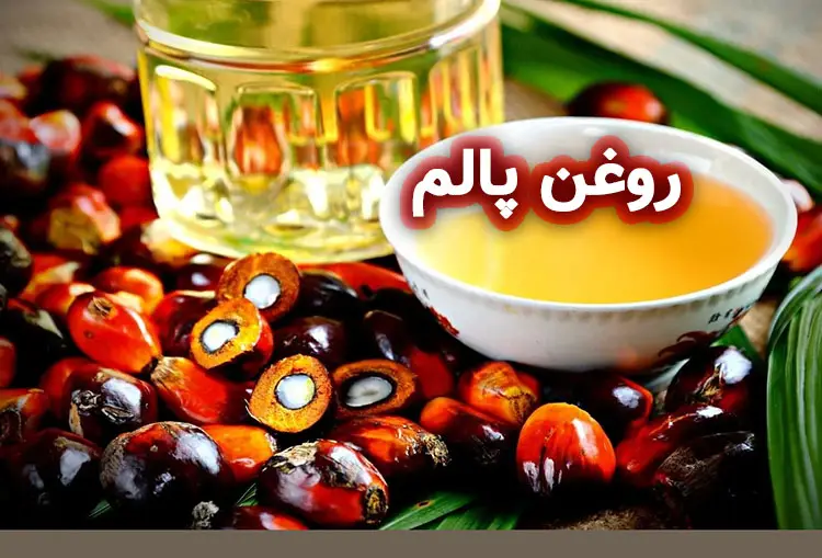 روغن پالم و روغن هسته پالم