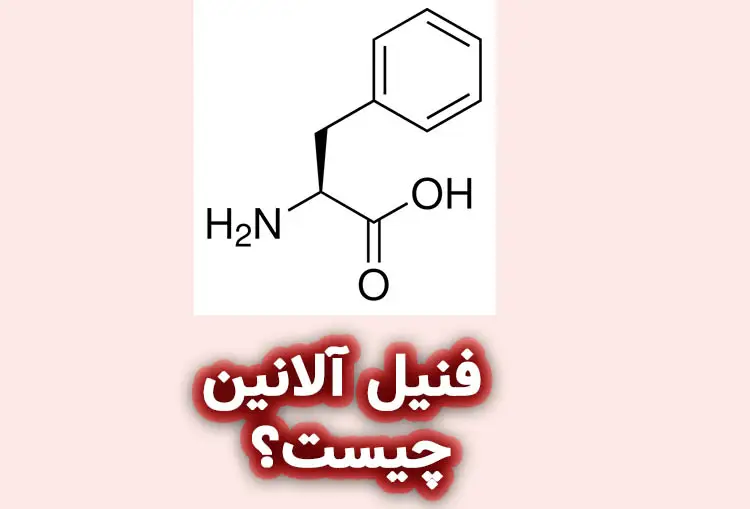 فنیل آلانین چیست؟