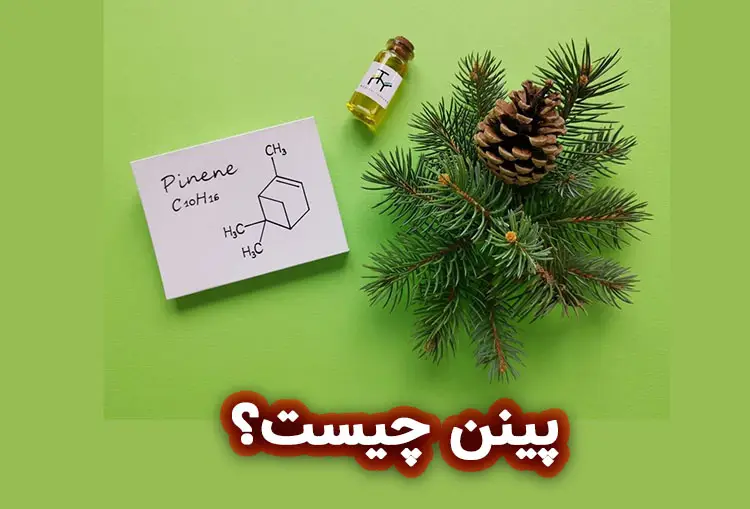 آلفا-پینن (Alpha-pinene) چیست؟