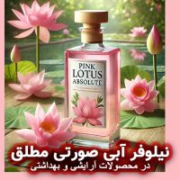 نیلوفر آبی صورتی مطلق