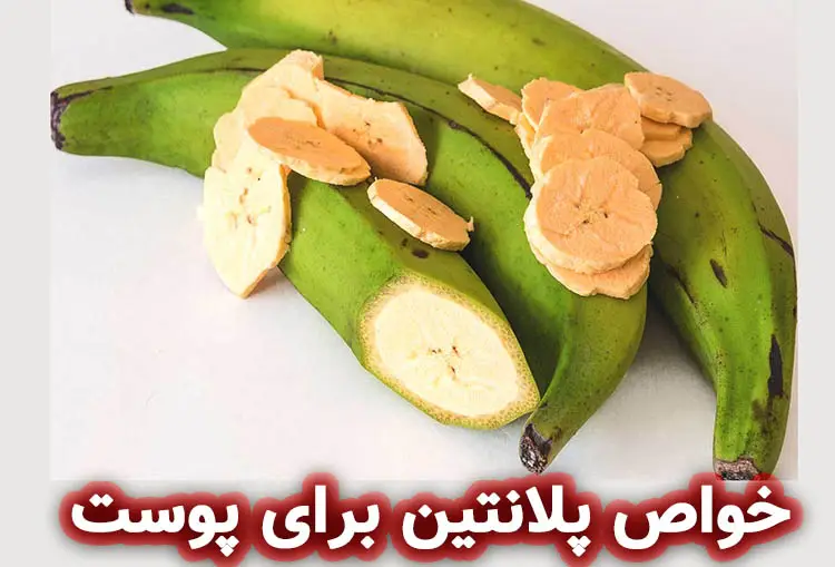 خواص پلانتین برای پوست