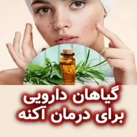 مروری بر گیاهان دارویی برای درمان آکنه