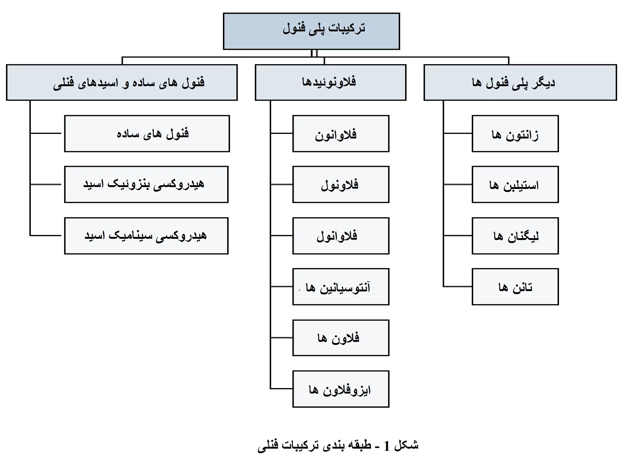 دسته بندی ترکیبات فنلی