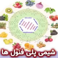 شیمی پلی فنول ها