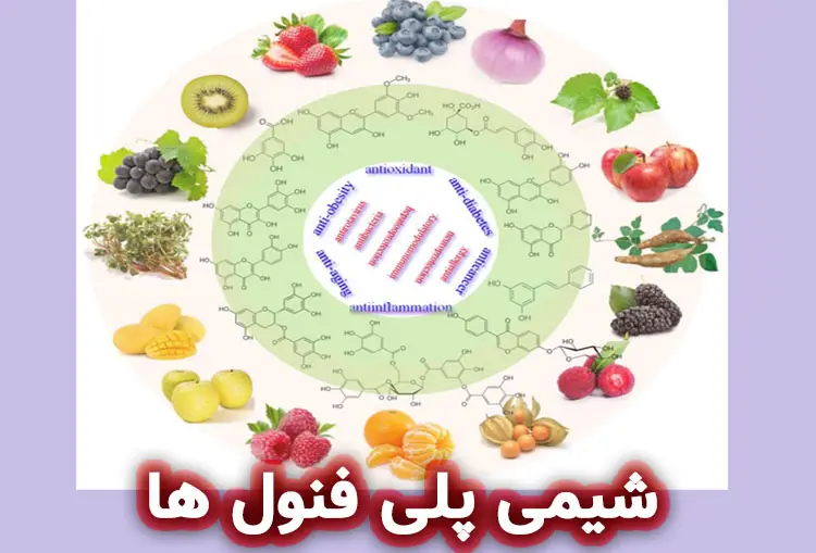 شیمی پلی فنول ها