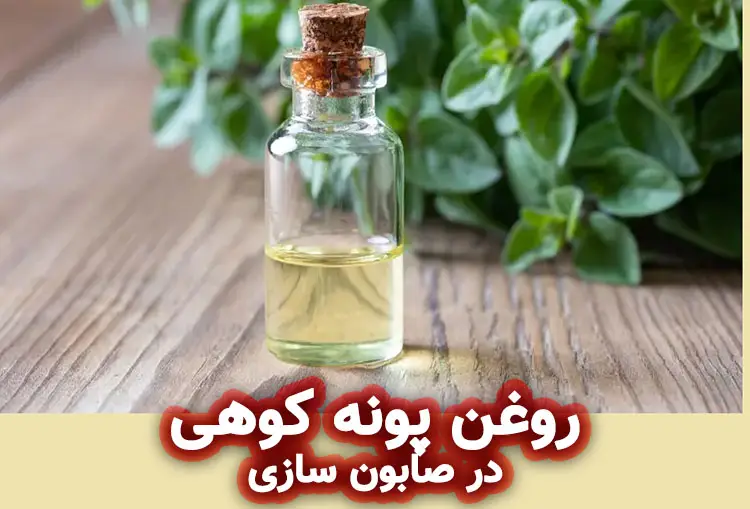 روغن تخم پونه کوهی در صابون‌