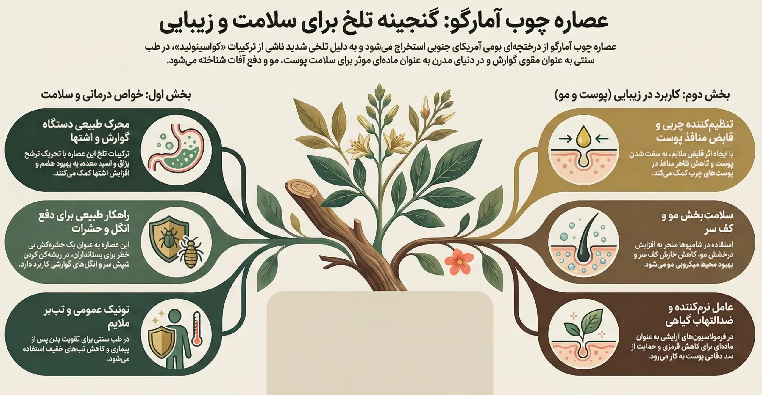 اینفوگرافیک گیاه آمارگو