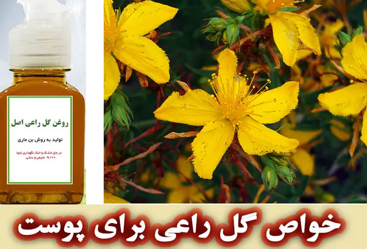 خواص روغن گل راعی برای پو.ست و مو