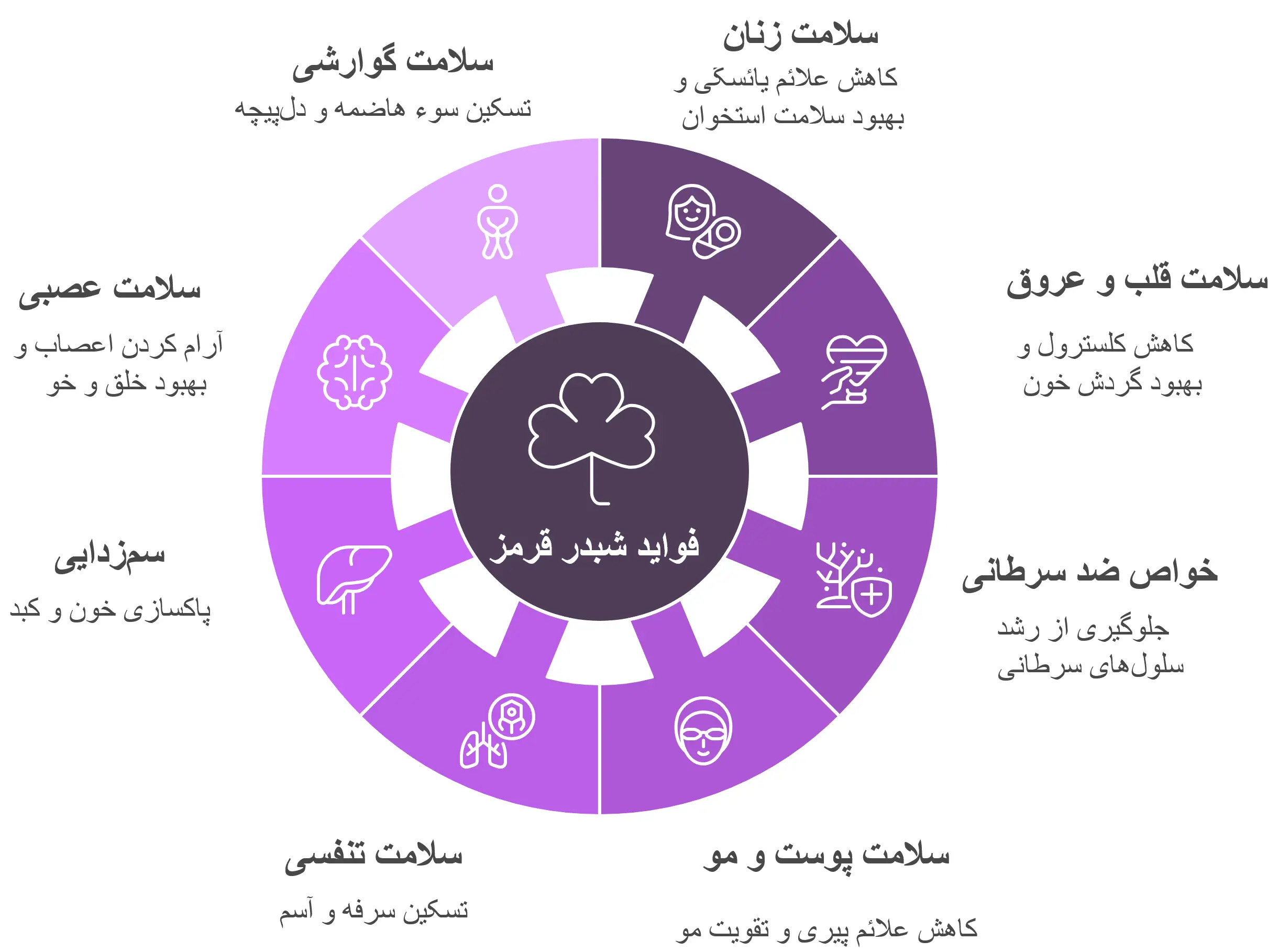 شبدر قرمز: گیاهی مفید برای تقویت مو و سلامت پوست