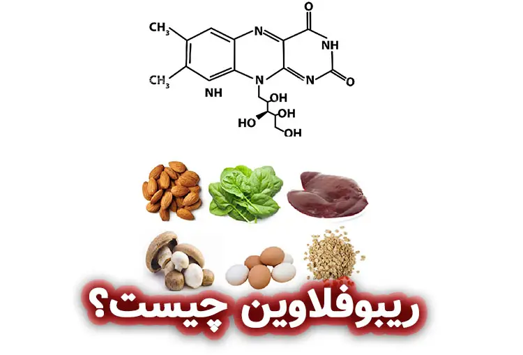 ریبوفلاوین چیست؟