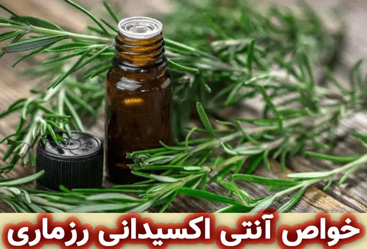 رزماری به عنوان نگهدارنده