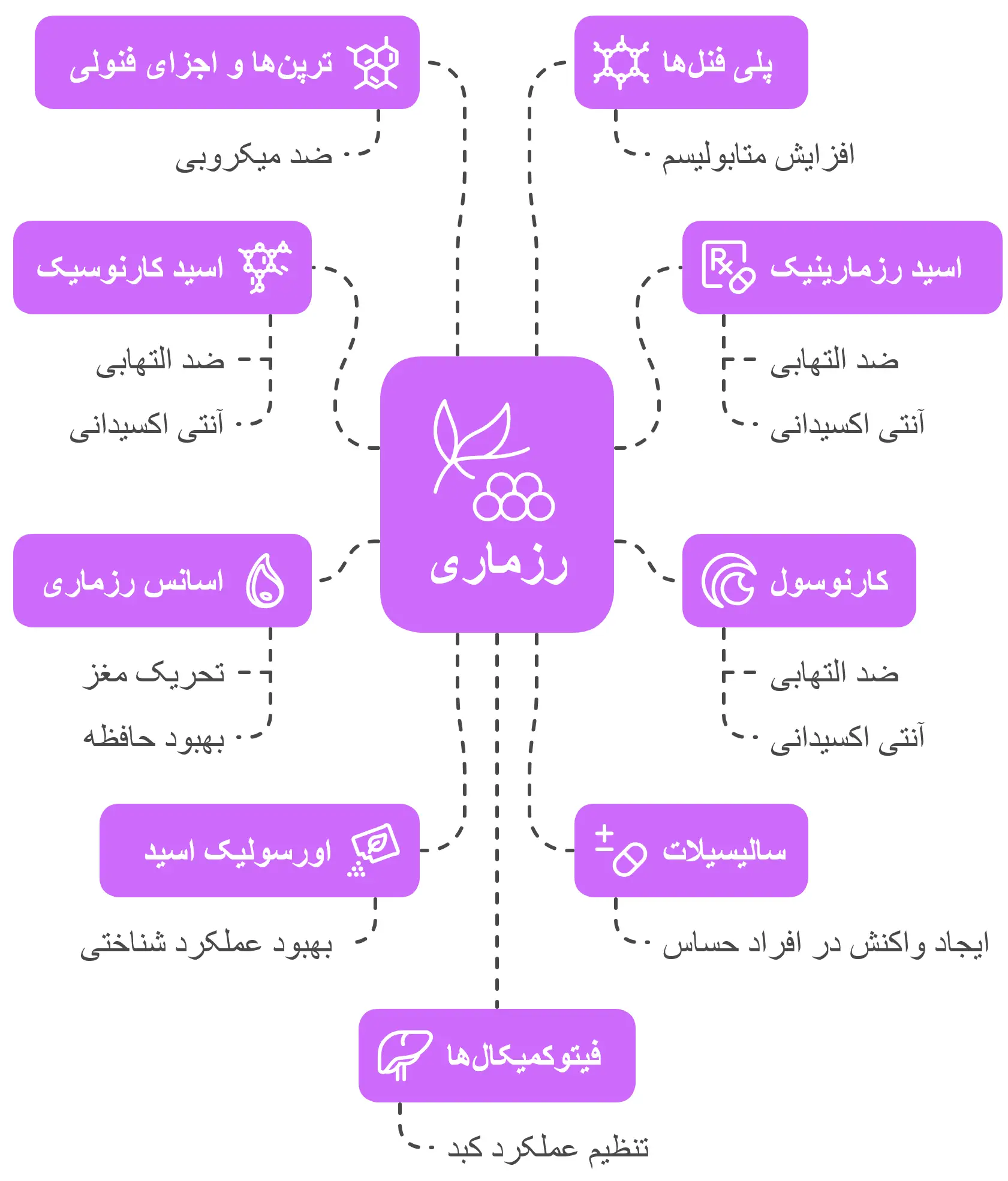 ترکیبات شیمیایی رزماری