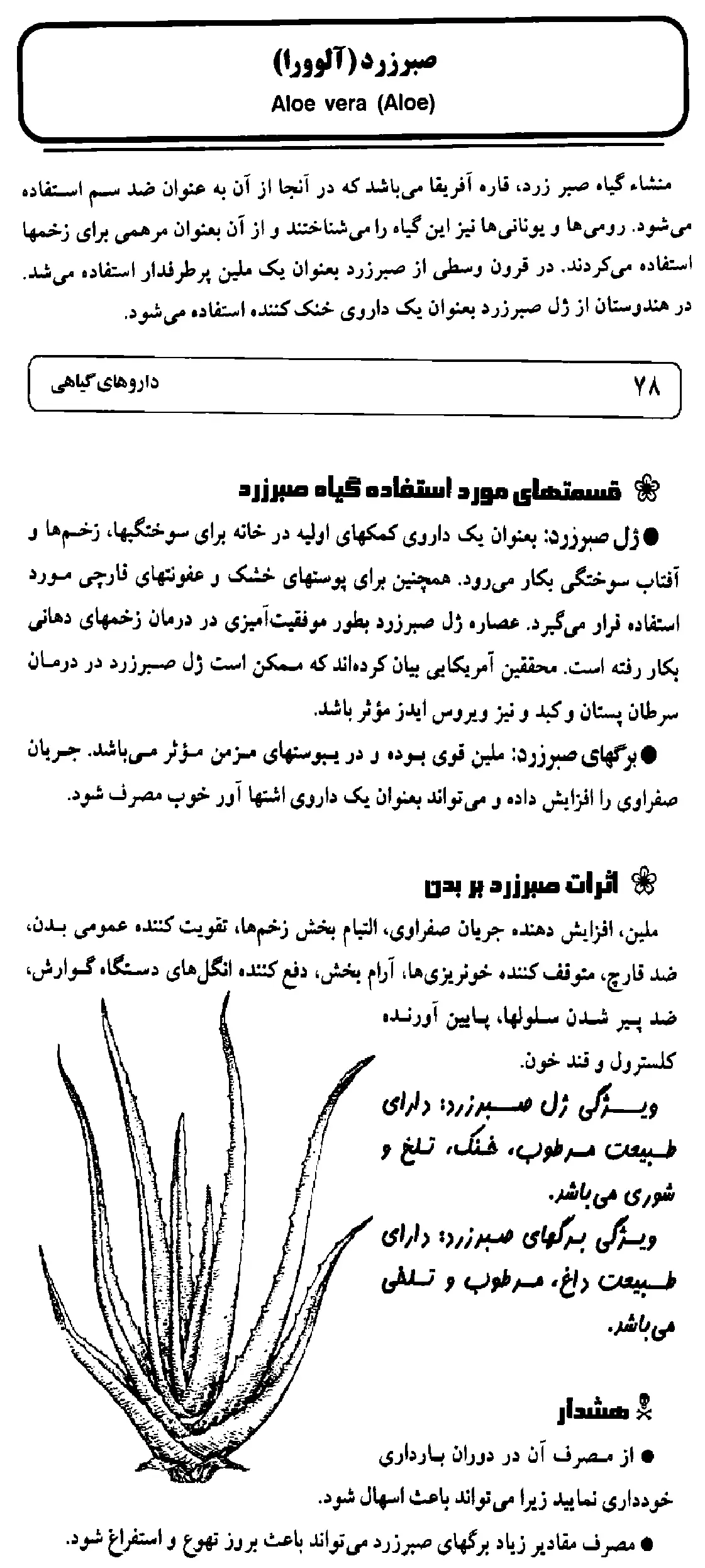 خواص صبر زرد برای پوست و مو