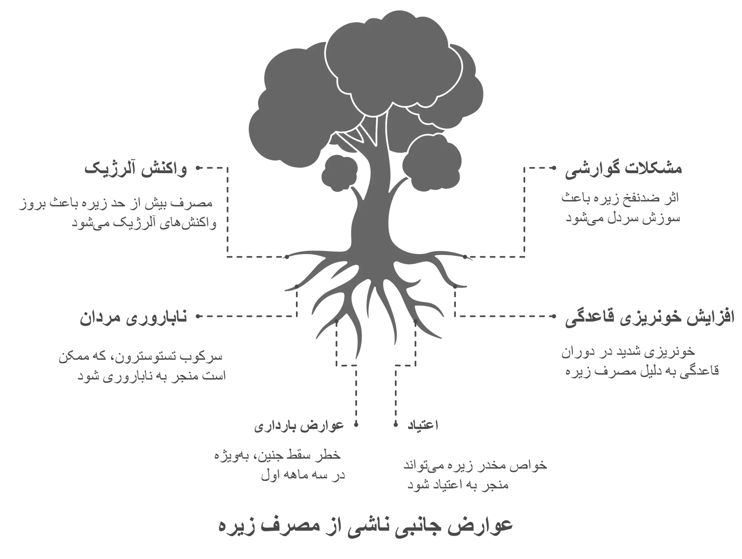 عوارض جانبی زیره سبز