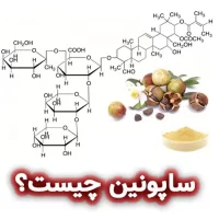 ساپونین چیست؟